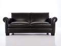 Divano lineare-Pelle-230x95x85 cm-Nero-Design classico